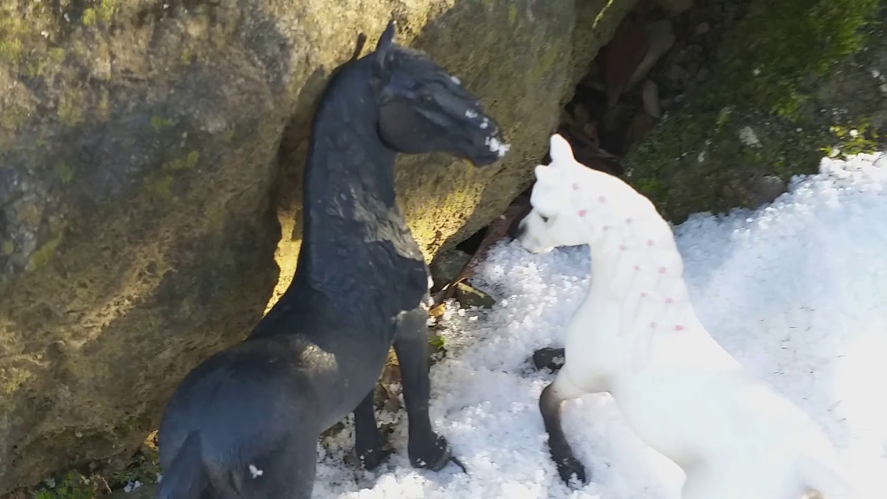Schleich /Fohlen WG # 4