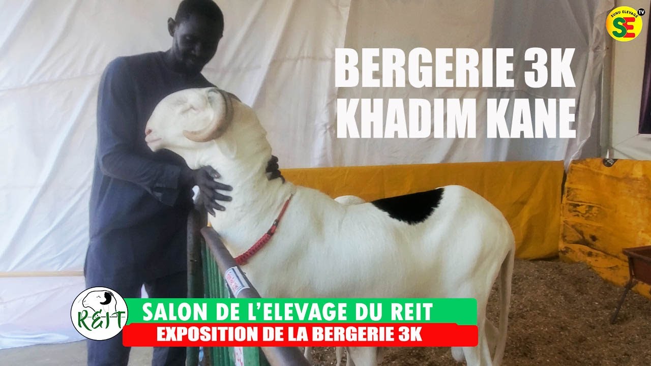 SALON DE L'ELEVAGE DU REIT 2026 / EXPOSITION DE LA BERGERIE  3K DE KHADIM KANE TEL: 77 631 43 58