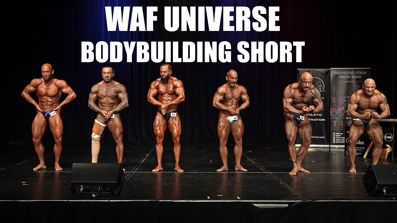 WAF UNIVERSE Bodybuilding Small Category