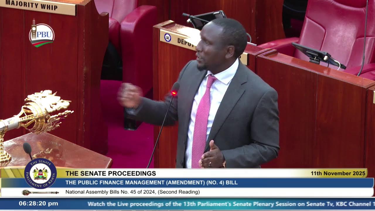 The Senate Plenary, Tuesday 11th November 2025 | Afternoon Session.