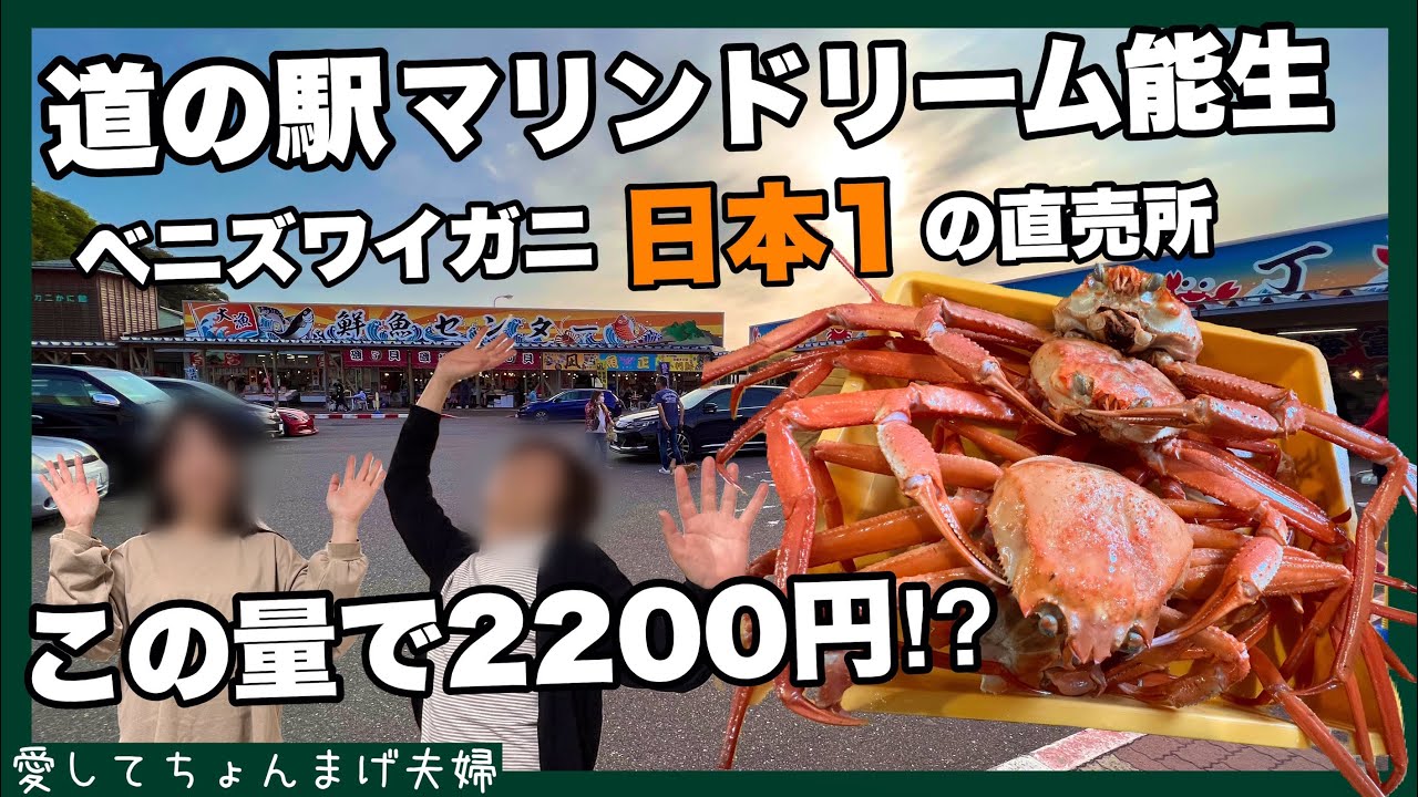 【新潟観光】道の駅マリンドリーム能生　蟹がこの量で2200円⁉︎  買ってすぐに食べられます　紅ズワイガニ日本一の直売所