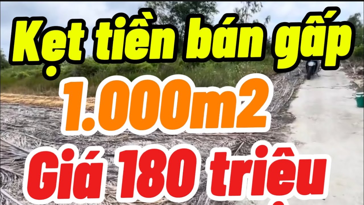 Kẹt tiền bán gấp 1.000m2 đất nền nhà mặt tiền đường dal giá 180 triệu hết đất xã hỏa lựu Tp Cần Thơ 