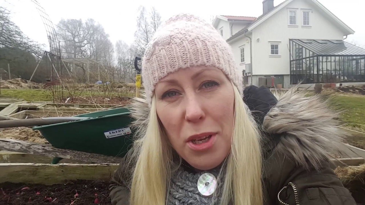 Odla l&ouml;k i pallkrage