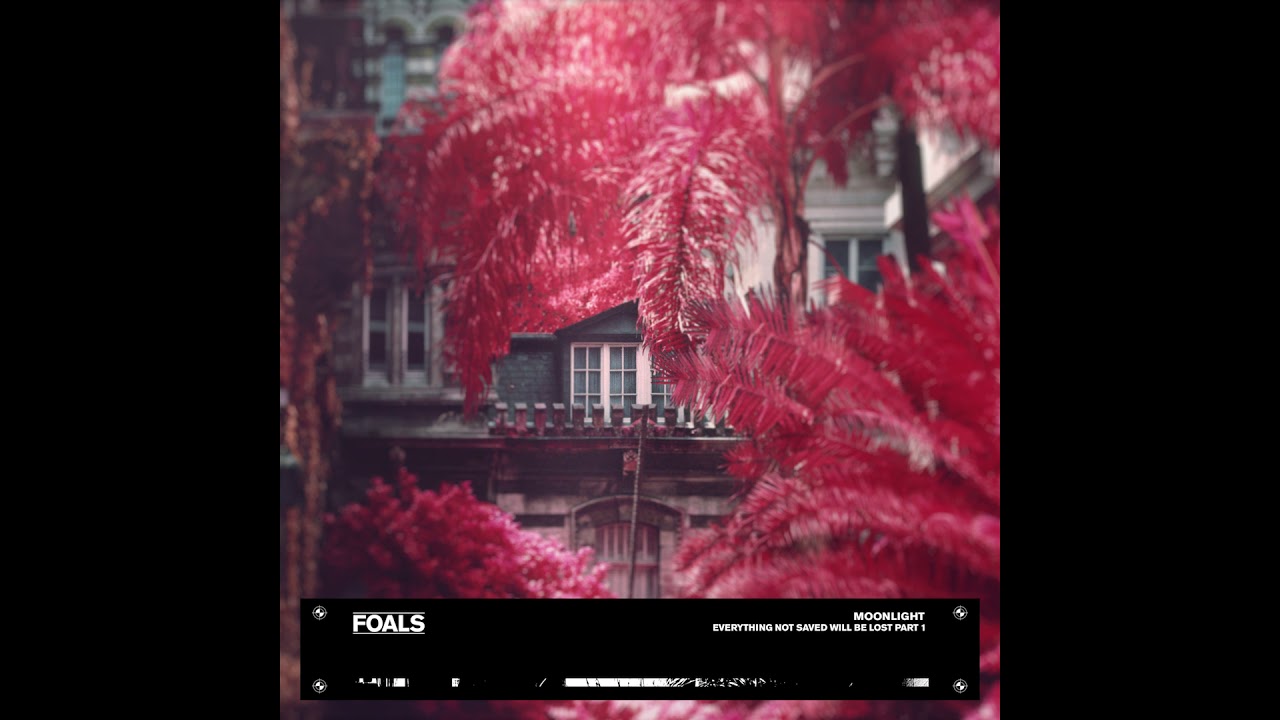 FOALS - Moonlight [Official Lyric Video]