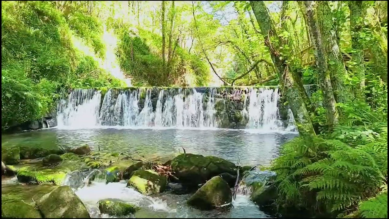 Passadi&ccedil;os de Pindelo