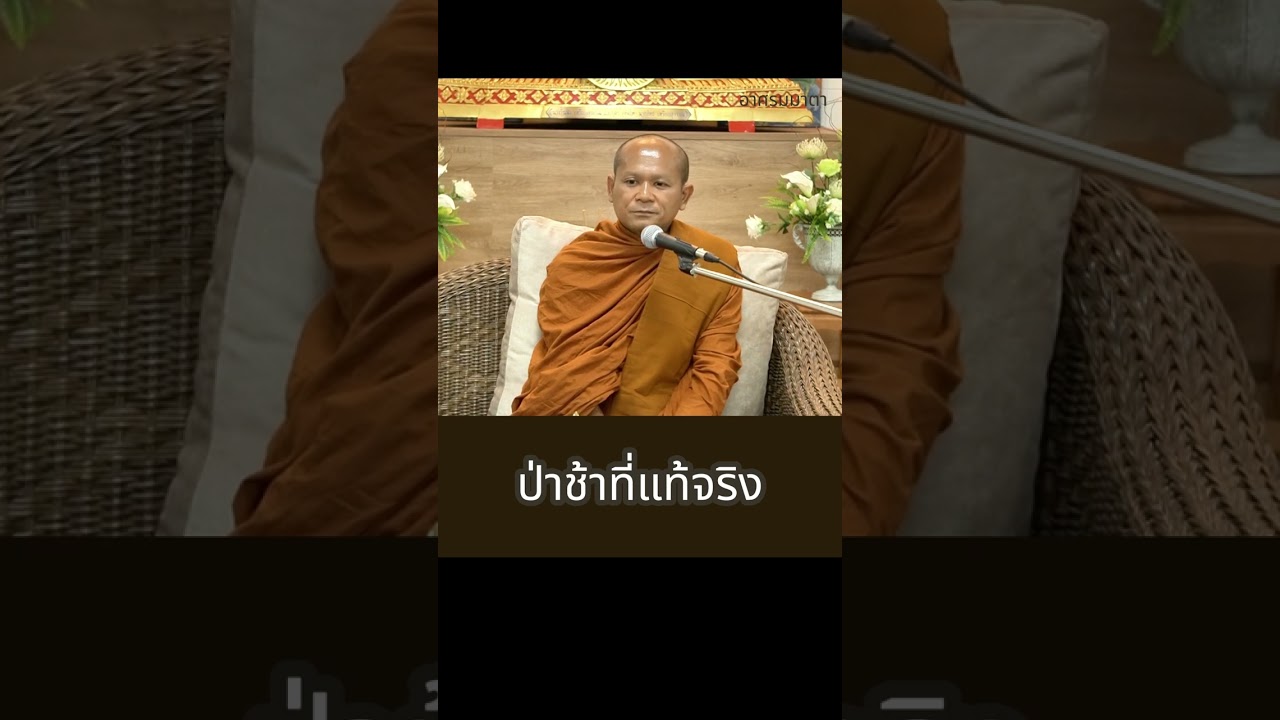 ป่าช้าที่แท้จริง (พระมหาปราโมทย์  ฐิตปาโมชฺโช)