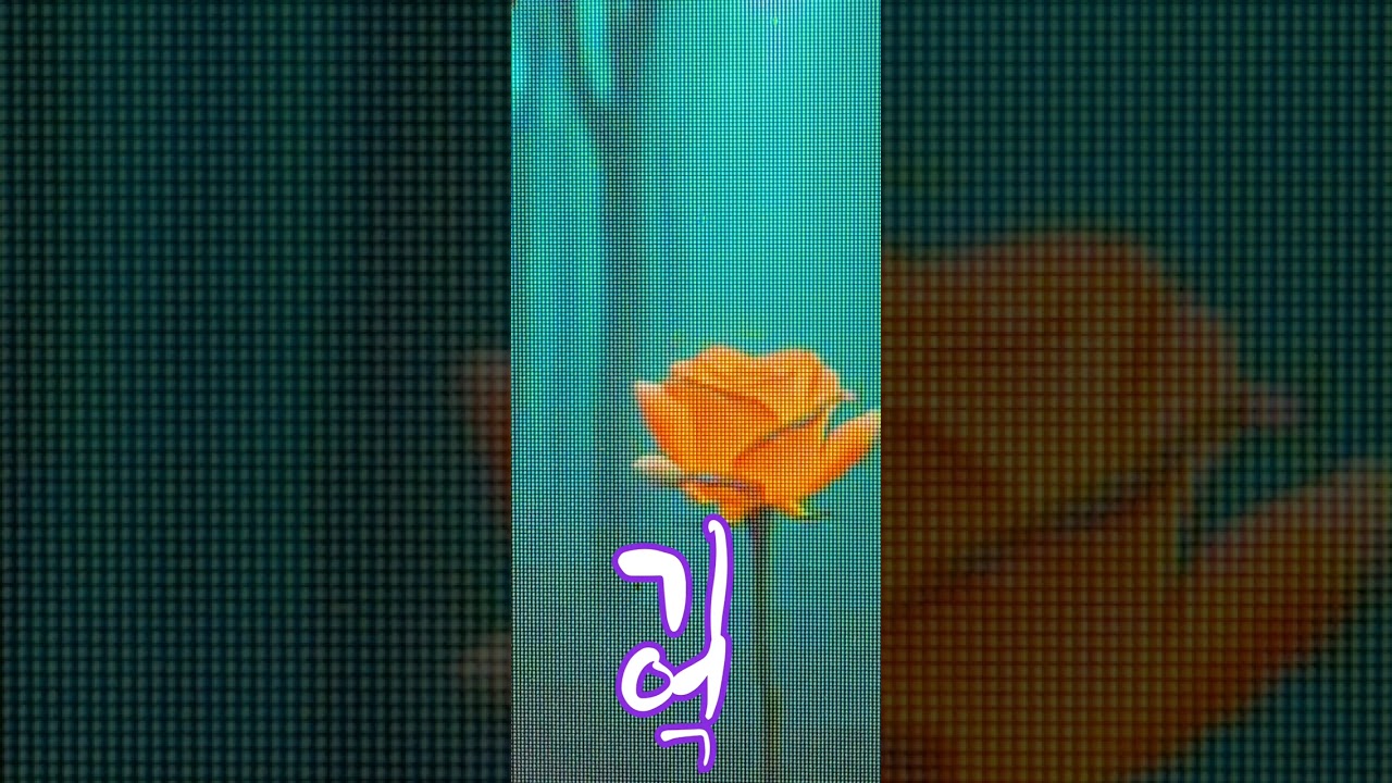 기억