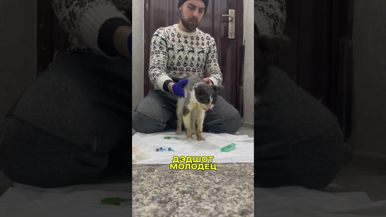 Дэдшот