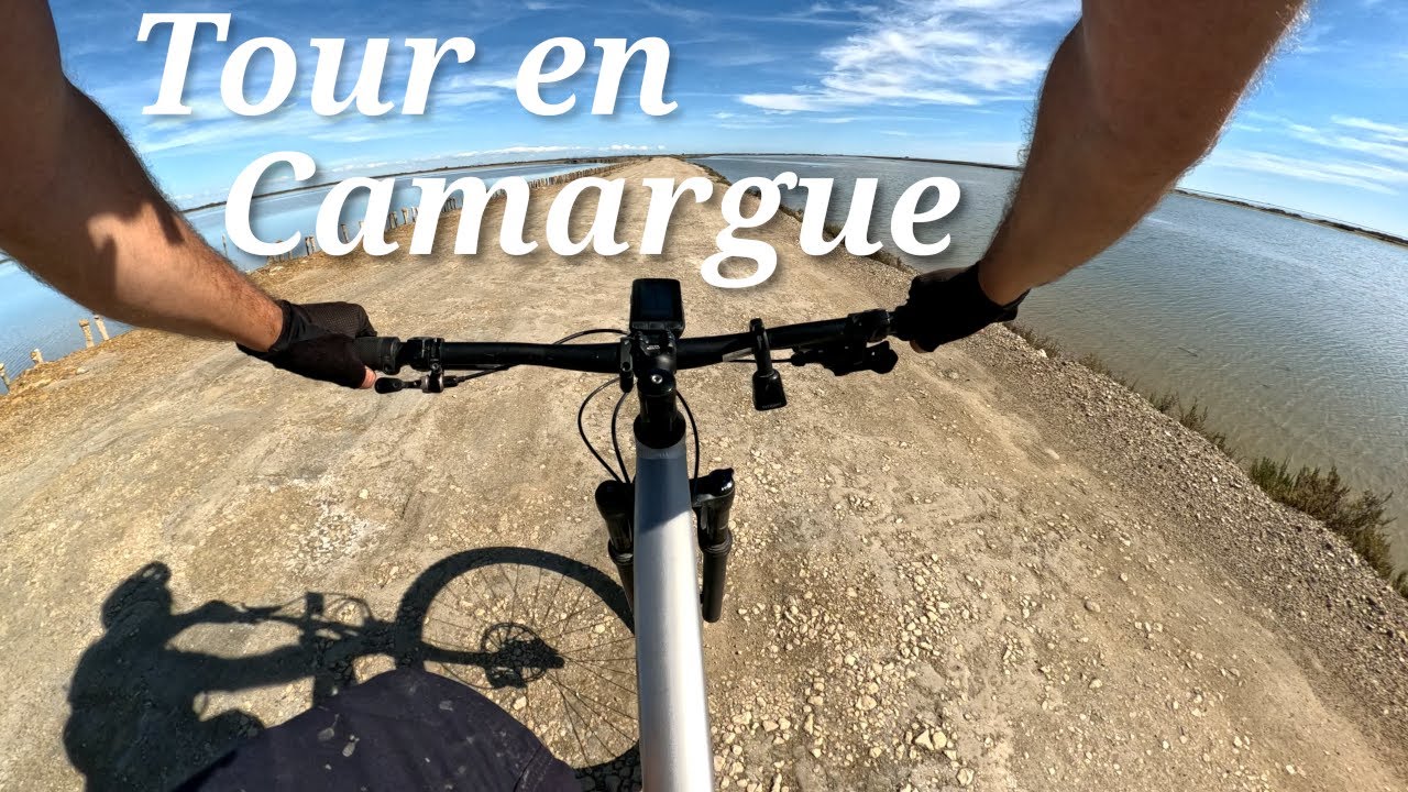 Tour en Camargue