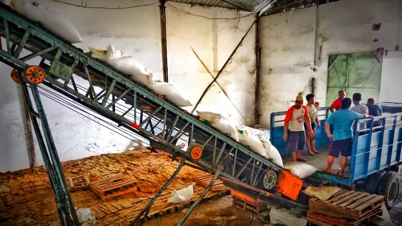 OMG‼️😱 TERNYATA BEGINI PROSES GILING TEBU HINGGA JADI GULA & DISIMPAN DI GUDANG