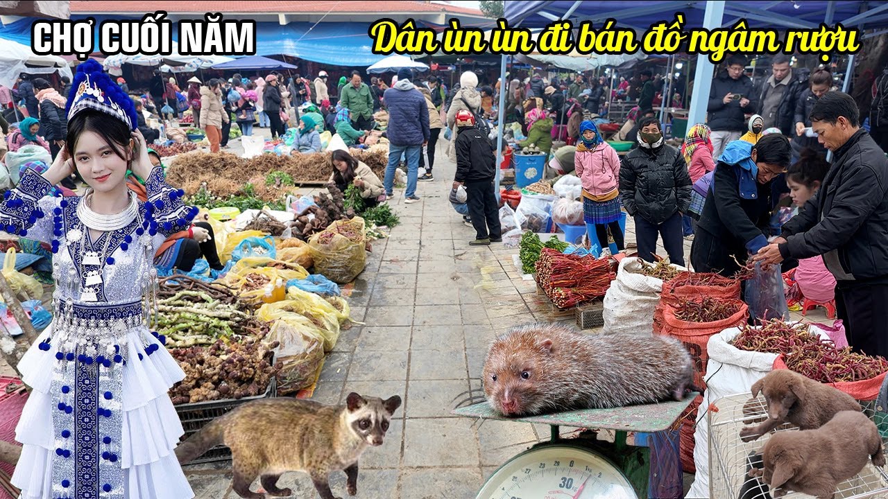 Chợ Bắc Hà những ngày cuối năm - Dân ùn ùn mang dược liệu - đồ ngâm rượu xuống núi bán