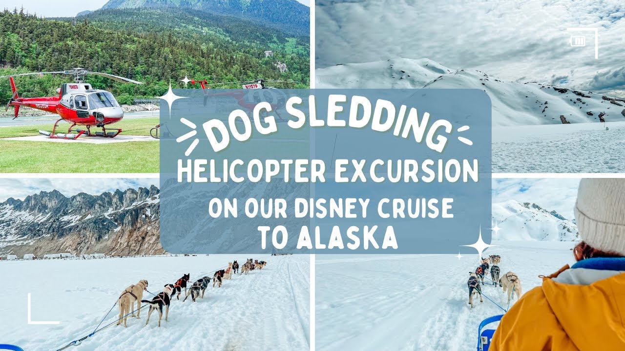 Dog Sledding on a Glacier Helicopter Excursion in Skagway on our Disney Cruise to Alaska