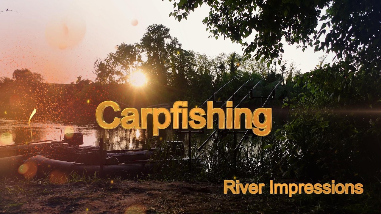 Carpfishing River Impressions