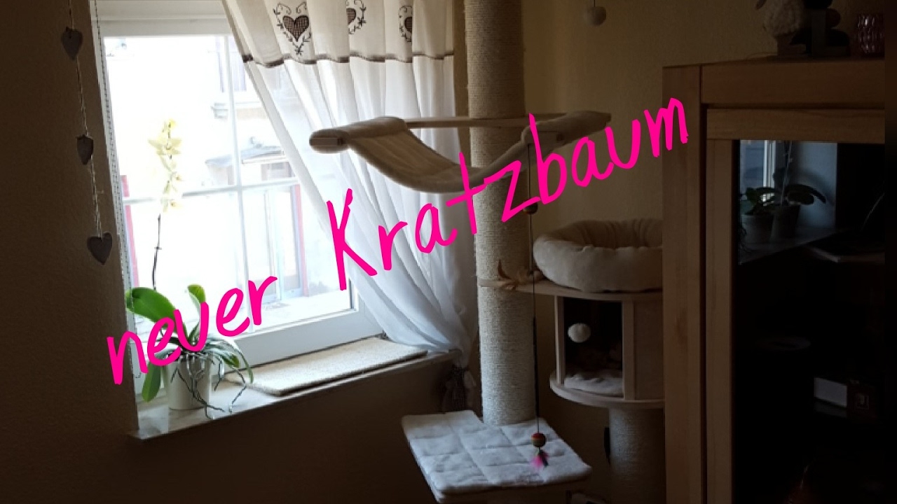 Neuer Kratzbaum Natural Paradise XL compact