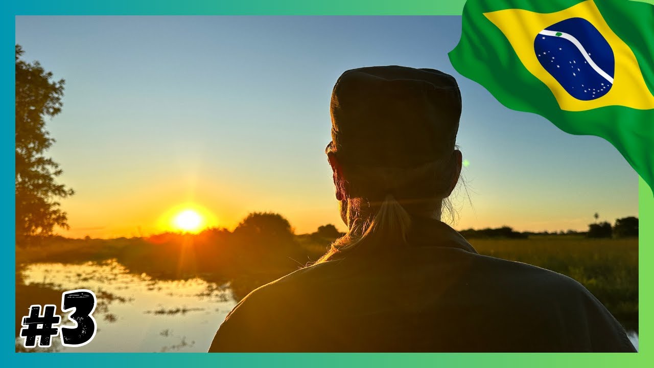 25 Meter über dem Pantanal – unsere größte Überwindung - Naturwanderung im Pantanal