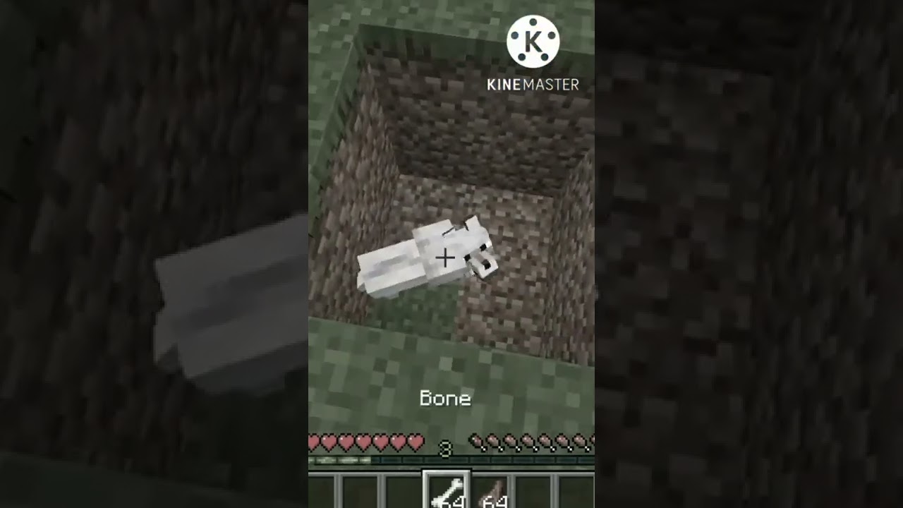🥺❤️😭#shorts #minecraft #emotional