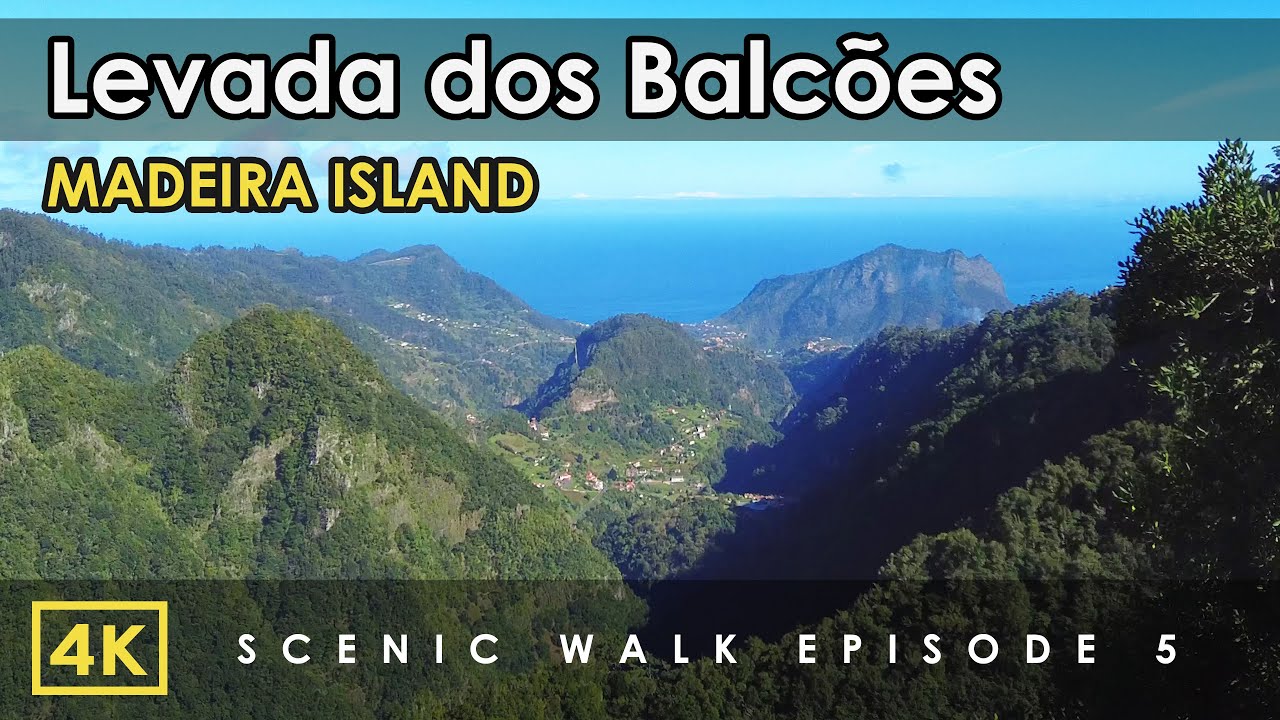 Madeira, Portugal | Levada dos Balc&otilde;es - Forest Walk and Driving Tour | Relaxing Nature ASMR 4K