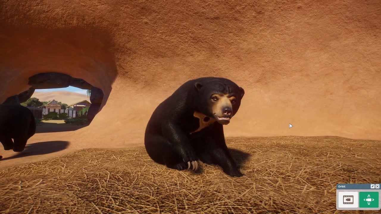 Planet Zoo (PC)(English) #101 8 Minutes of Sun Bears (Southeast Asia DLC)