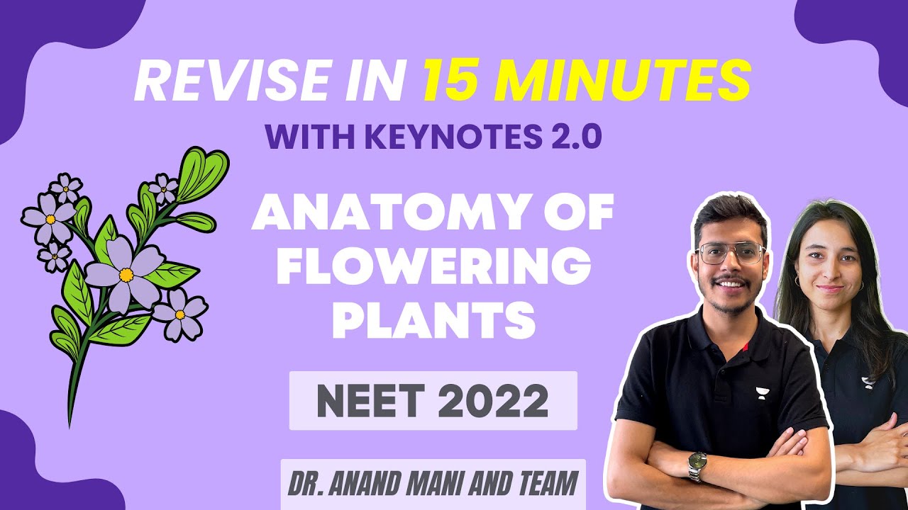 Anatomy of Flowering Plants | Revise in 15 minutes | keynotes 2.0 | NEET 2024 | Dr.Anand Mani & Team