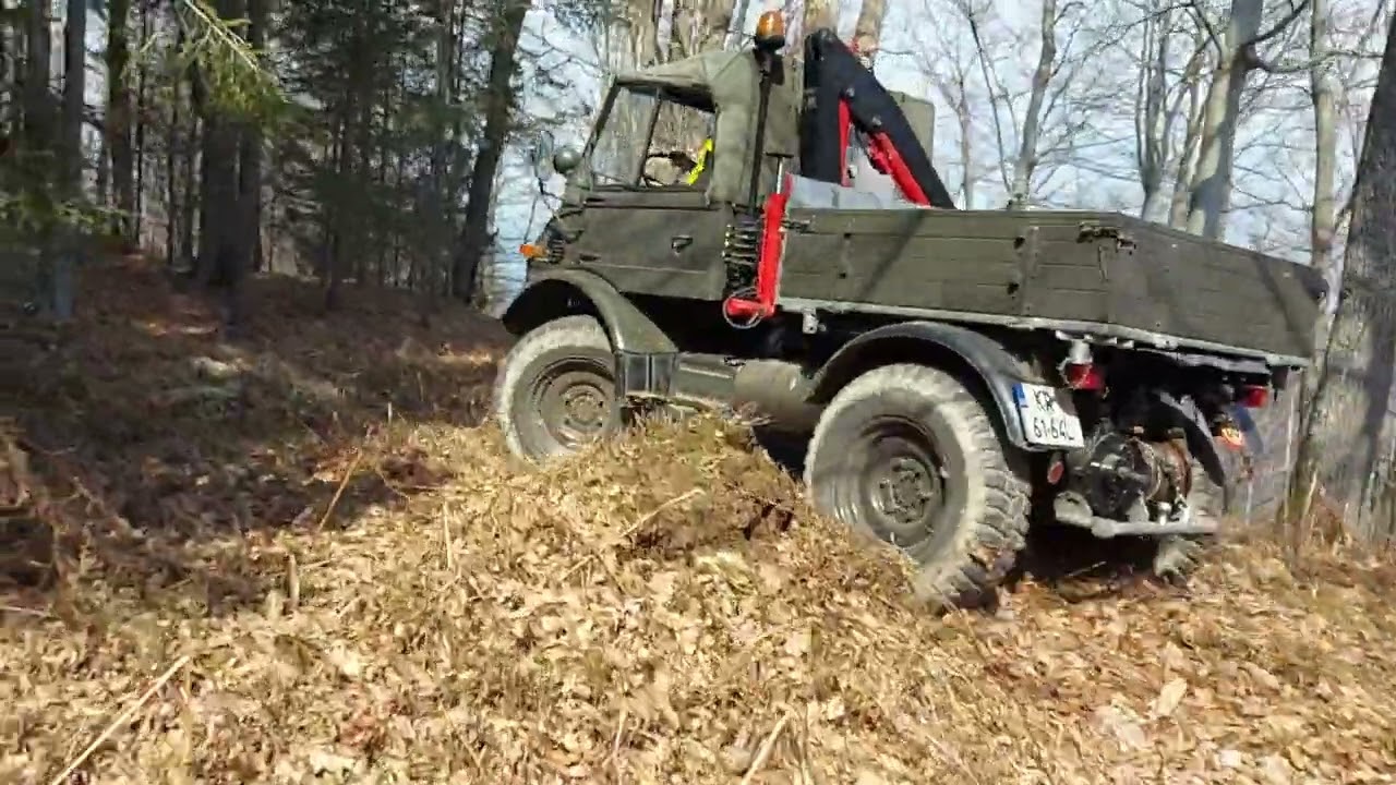 Unimog 421 in forest