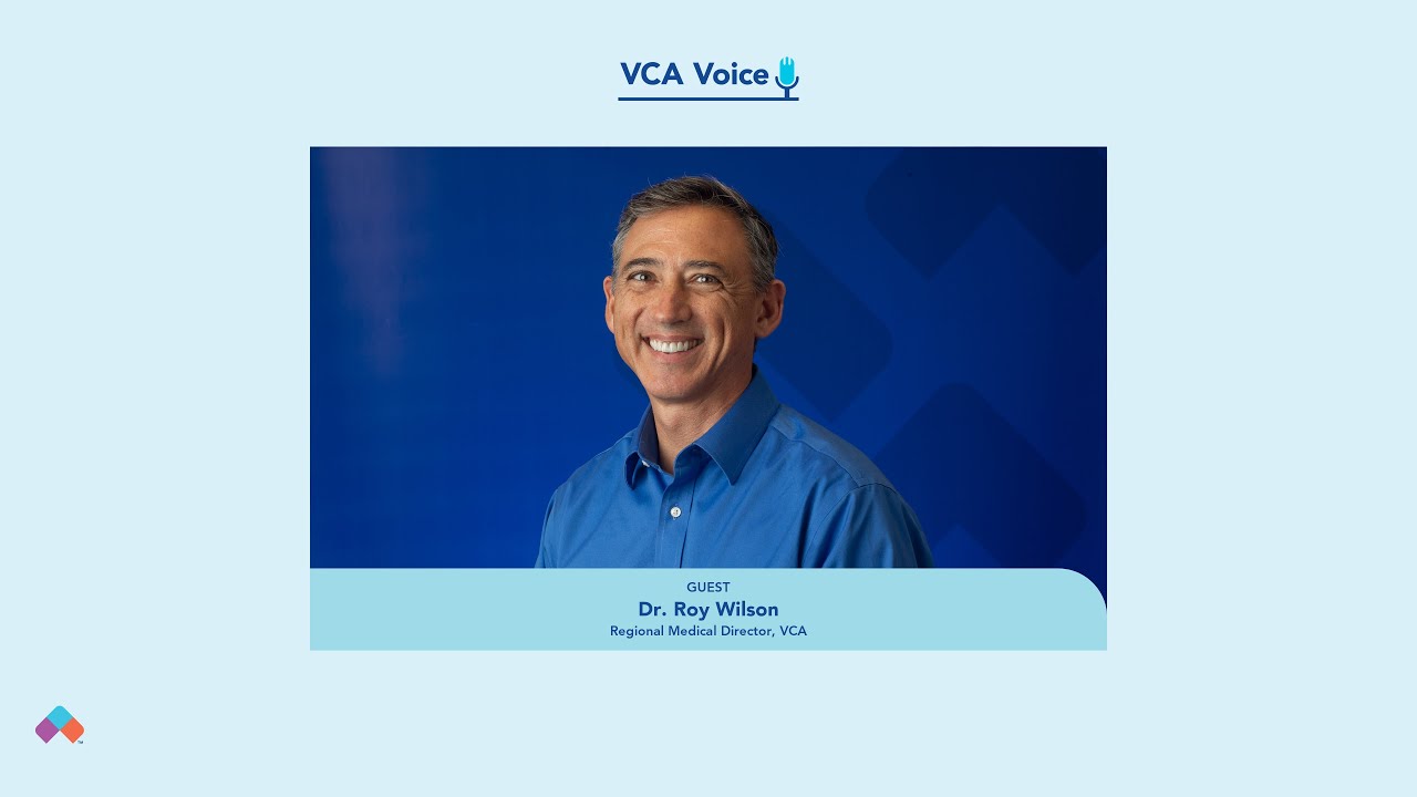 The Importance of Parasite Prevention: Dr. Roy Wilson