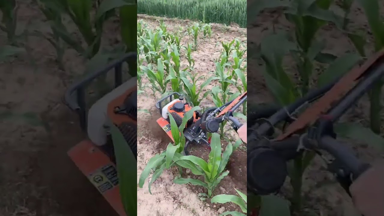 Corn field weeding and ditching all-in-one machine Weeding machine manufacturer.👍