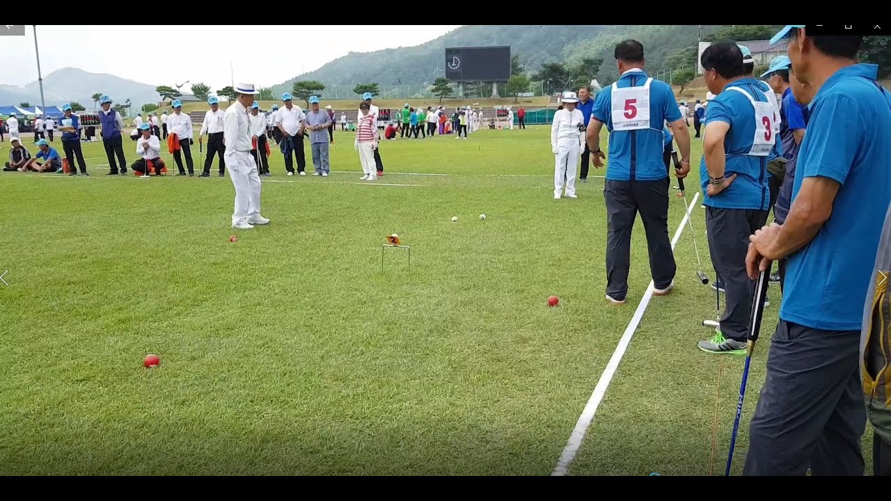 6월20일 충남 청양 대통령기 게이트볼대회  결승전