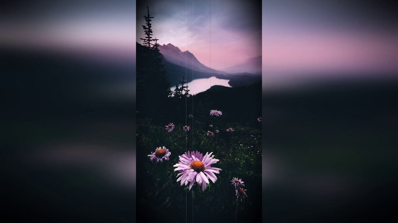 Free | Juice WRLD x iann dior type beat - 
