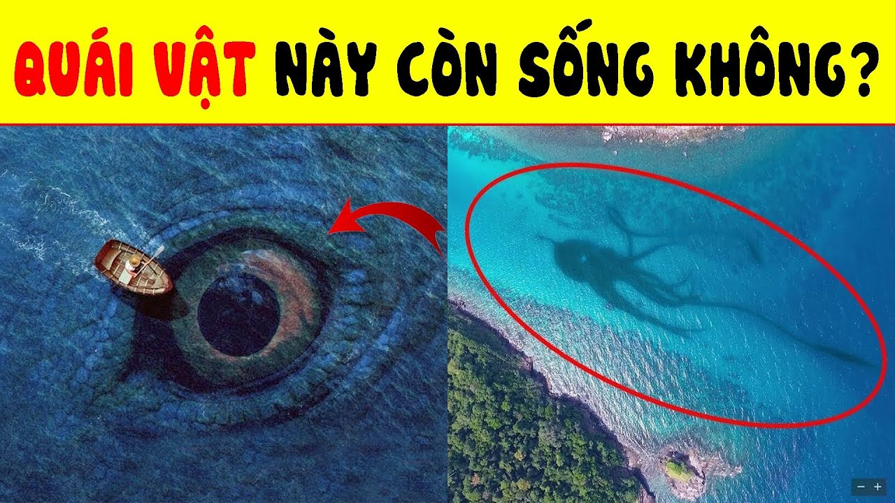 100% Không Biết TOP 15 BÍ ẨN CHẤN ĐỘNG Đại Dương Và Các Loài Cá Có Trong 15 Câu Đố Này | Nhanh Trí