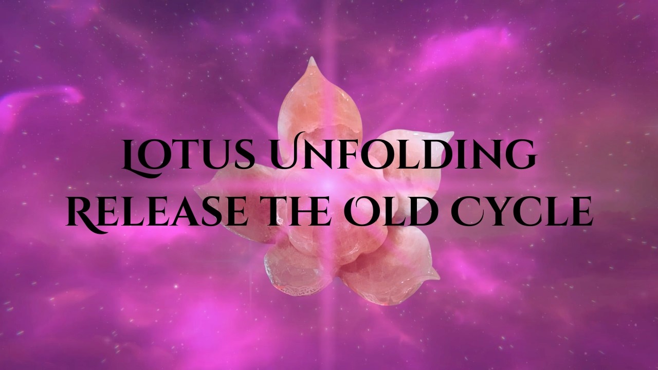 You Are Aligning With A New Timeline / Lotus Unfolding / Release Let Go / Subliminal Meditation