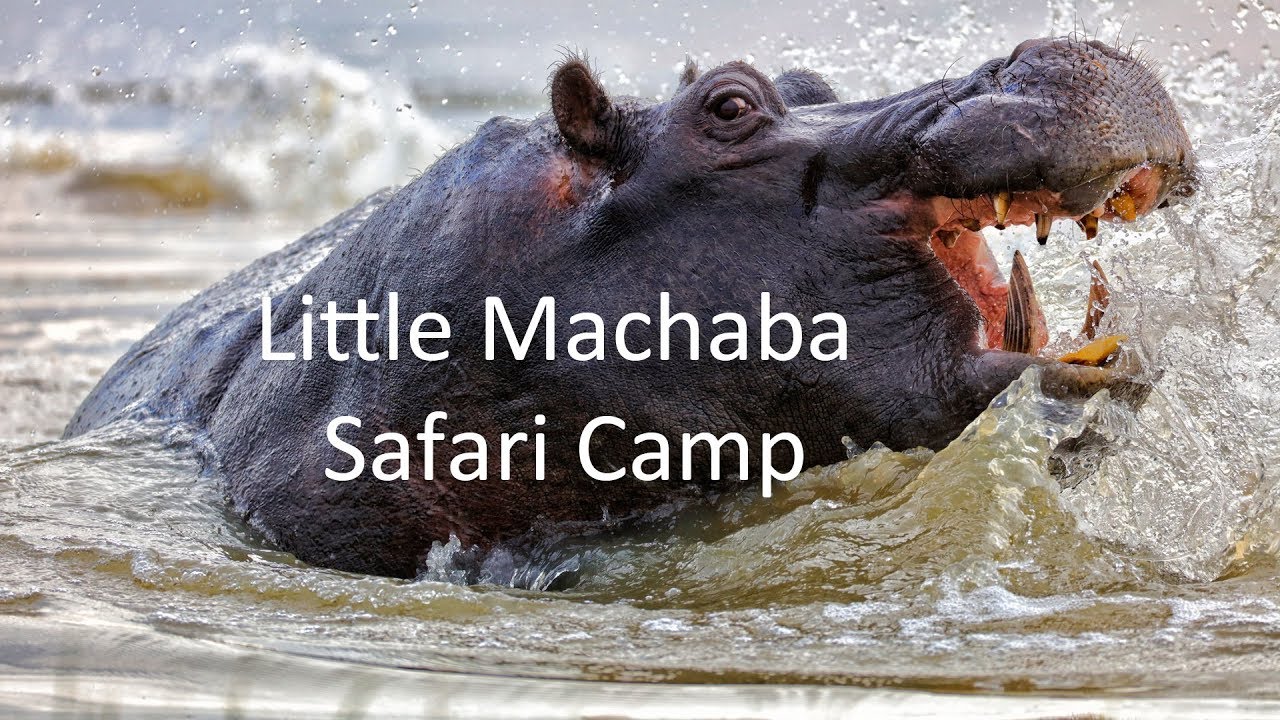 Luxury Lodges of Africa. Little Machaba Luxury Safari Camp, Botswana