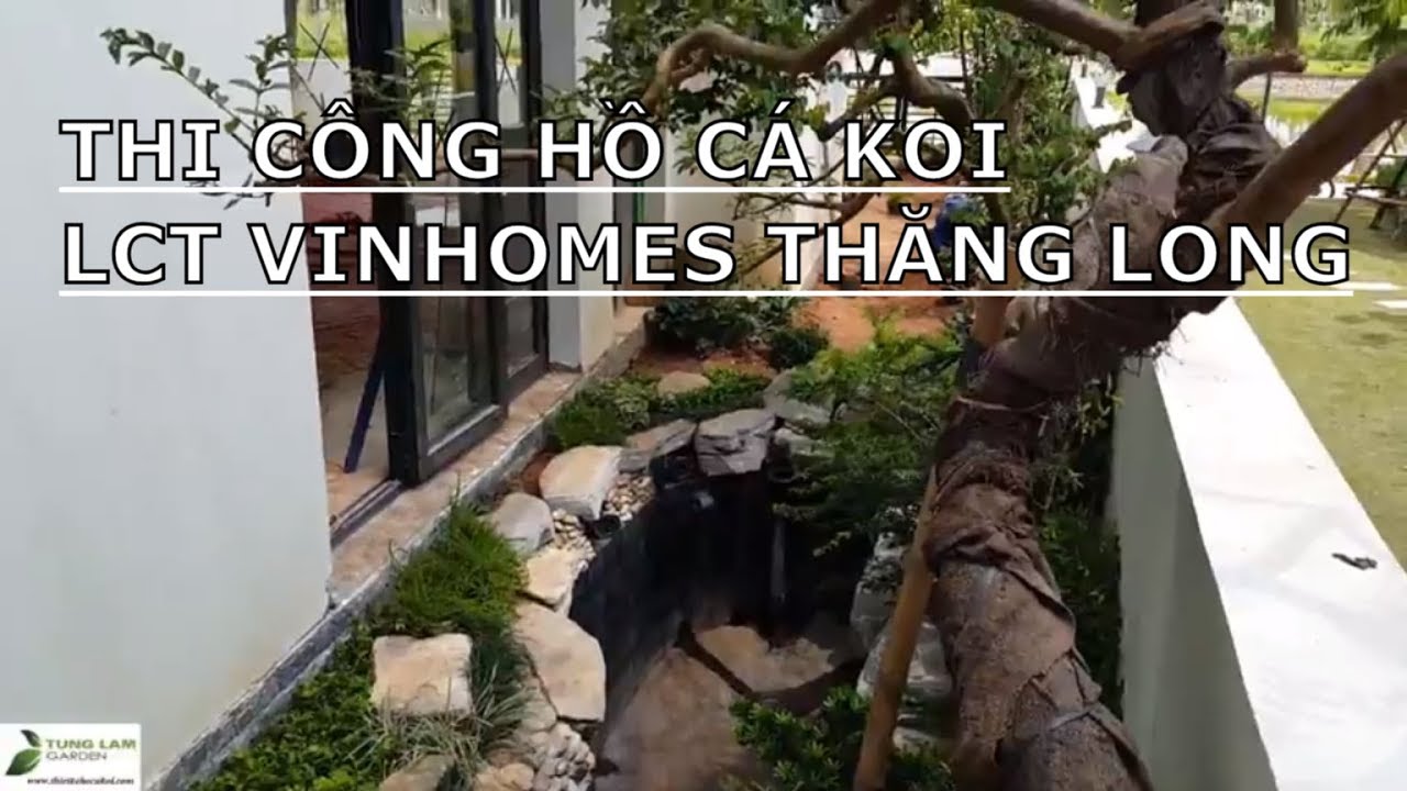 ✅KOI.67-THI CÔNG SÂN VƯỜN* Trồng Cây Hồ Cá Koi Bên Hông Nhà BT Vinhomes Thăng Long