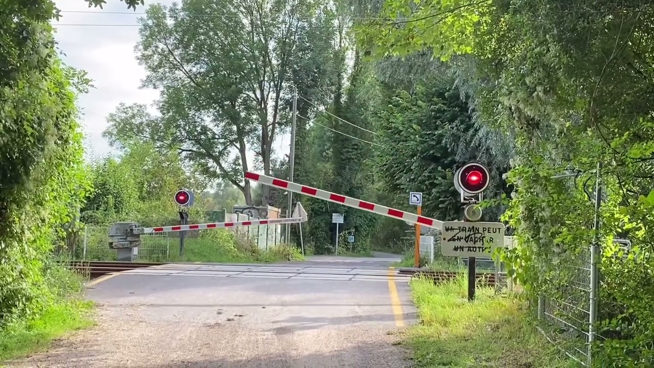 passage à niveau / Spoorwegovergang/ Bahnübergang/ 踏み切り. Tressin (59)