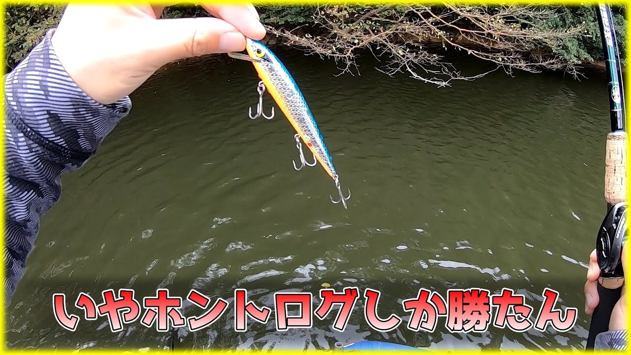【ログ】他にどうやって釣れって言うねん【ジャーキング】