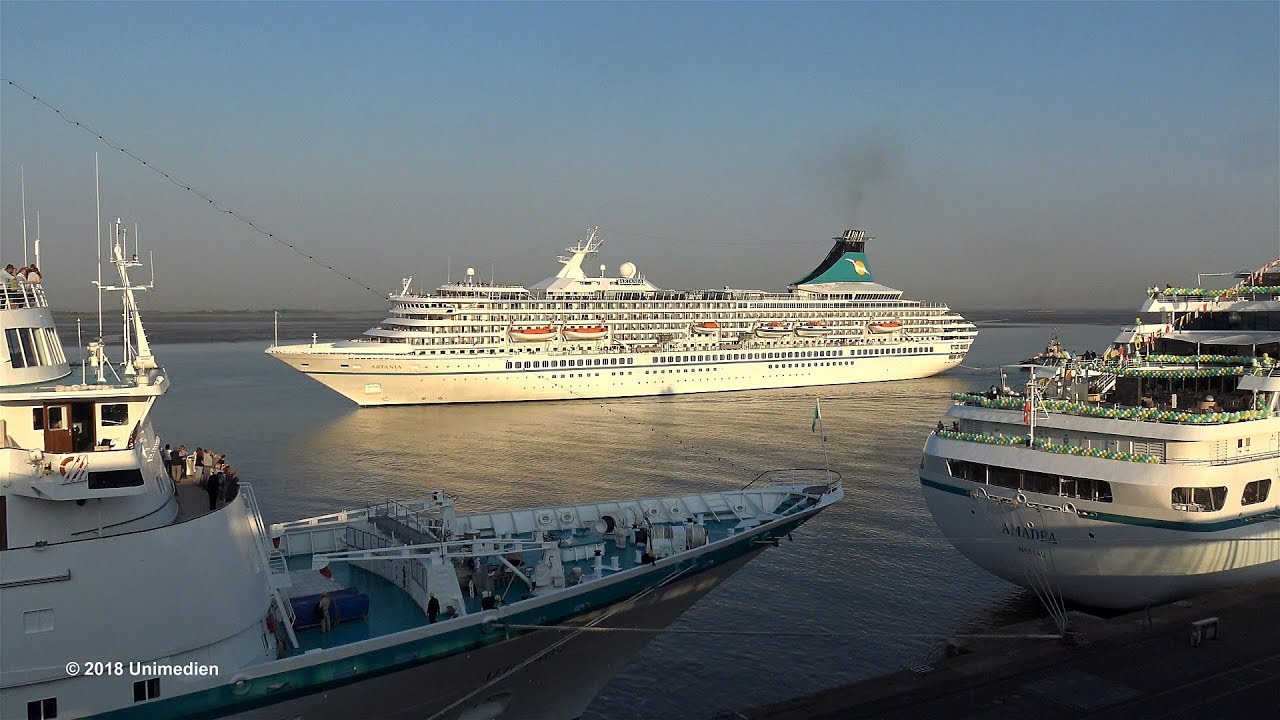 ARTANIA AMADEA ALBATROS DEUTSCHLAND | awesome PHOENIX fleet meeting with horn battles | 4K-Video