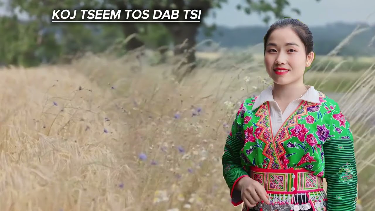 KOJ TSEEM TOS DAB TSI _NKAUJ NTSEEG TXHAWB ZOG _N TXAWJ KIM 