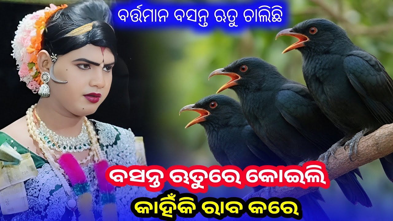 ବସନ୍ତ ଋତୁରେ କୋଇଲି କାହିଁକି ରାବ କରେ, ଅନ୍ୟ ଋତୁରେ କାହିଁକି ନୁହେଁ  | Maa Benjaren danda l ramakanta radha 