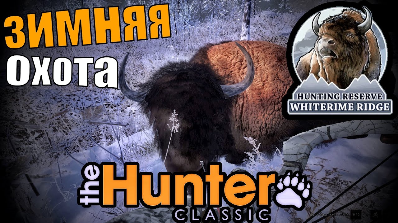 Добыл 6  Бизонов И Ешё Много Трофеев The Hunter Classic
