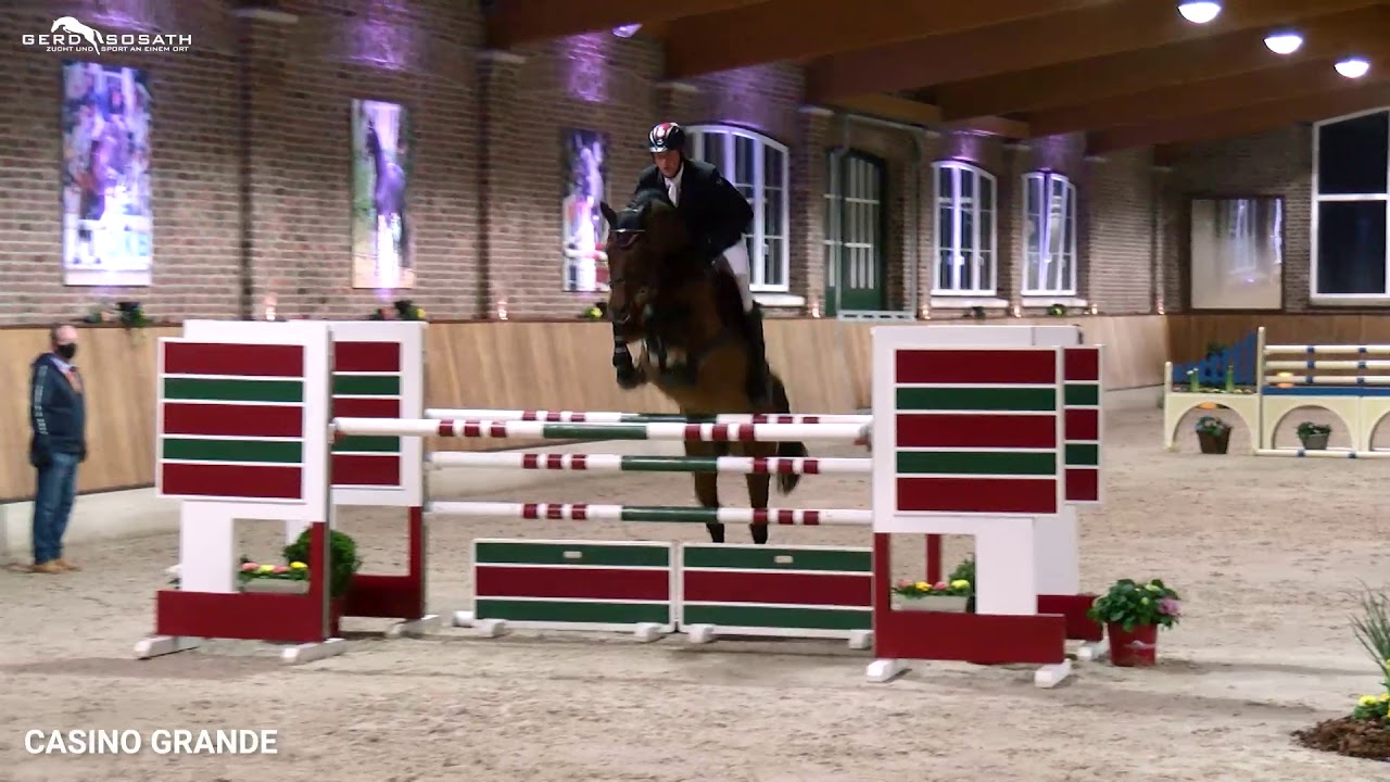Casino Grande *2012 by Casino Berlin OLD x Contact me (Sosath Stallion Show 2021)