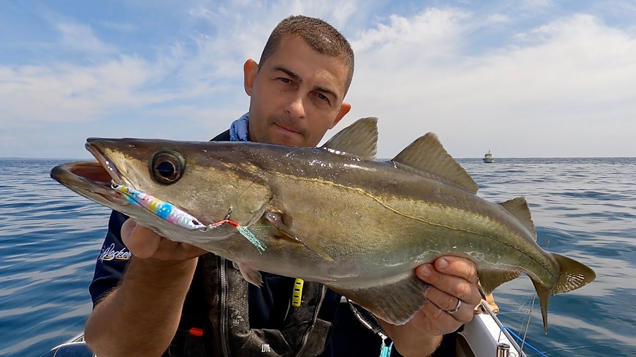 Sea Fishing UK - Awesome Day Sea Fishing in Cornwall | The Fish Locker