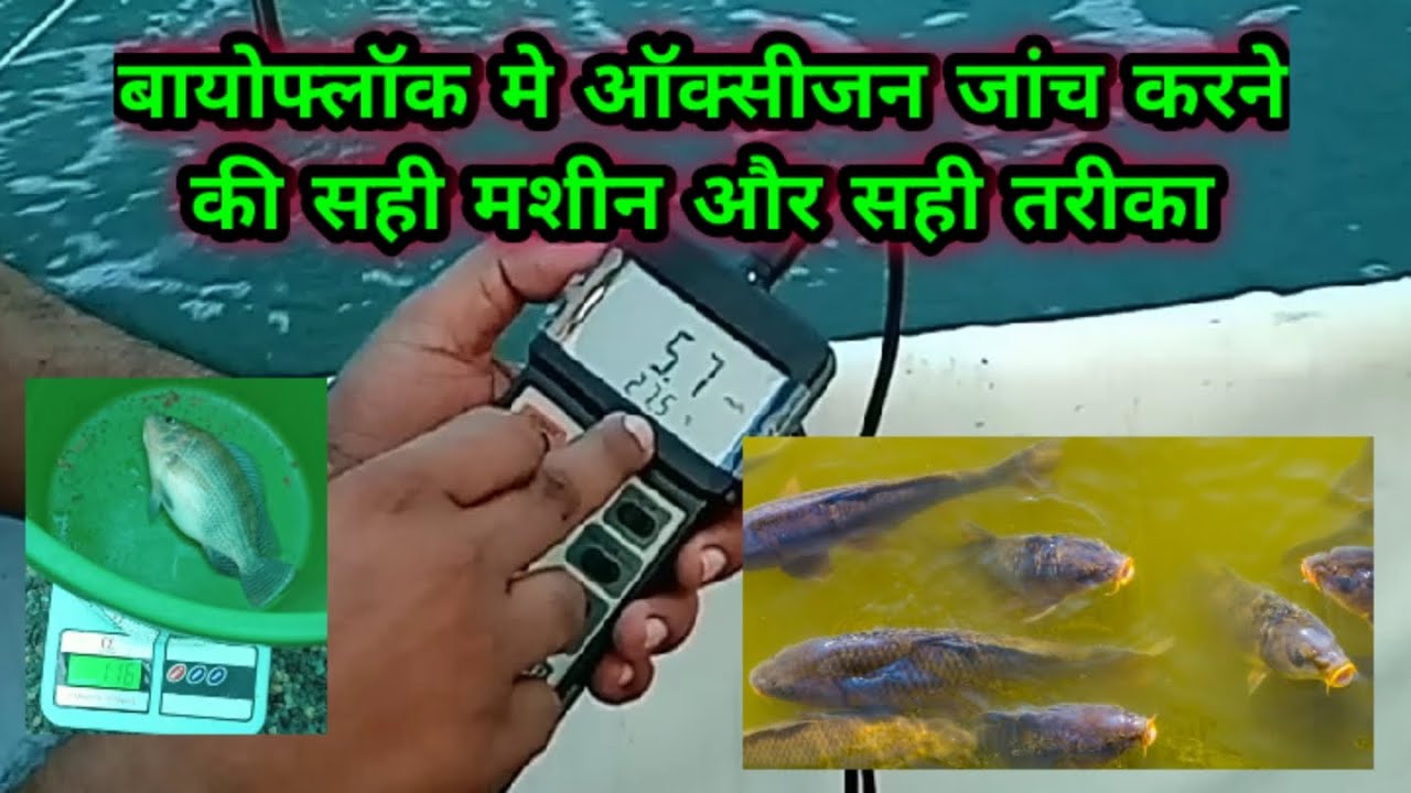 biofloc fish farming || how to use Dissolve oxygen meter || बायोफ्लॉक में ऑक्सीजन कैसे चेक करें