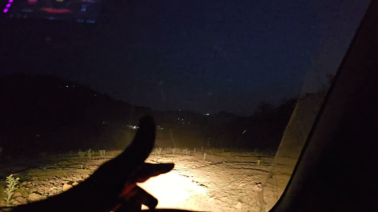 Hyderabad Kancha Gachibowli Tree Felling Halted | Why Saving Trees Matters for Our Climate  Wildlife