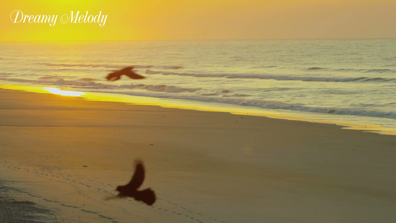 2 STUNDEN Atemberaubendes Unterwasser + Musik | Naturentspannung Seltenes & Buntes Meeresvideo