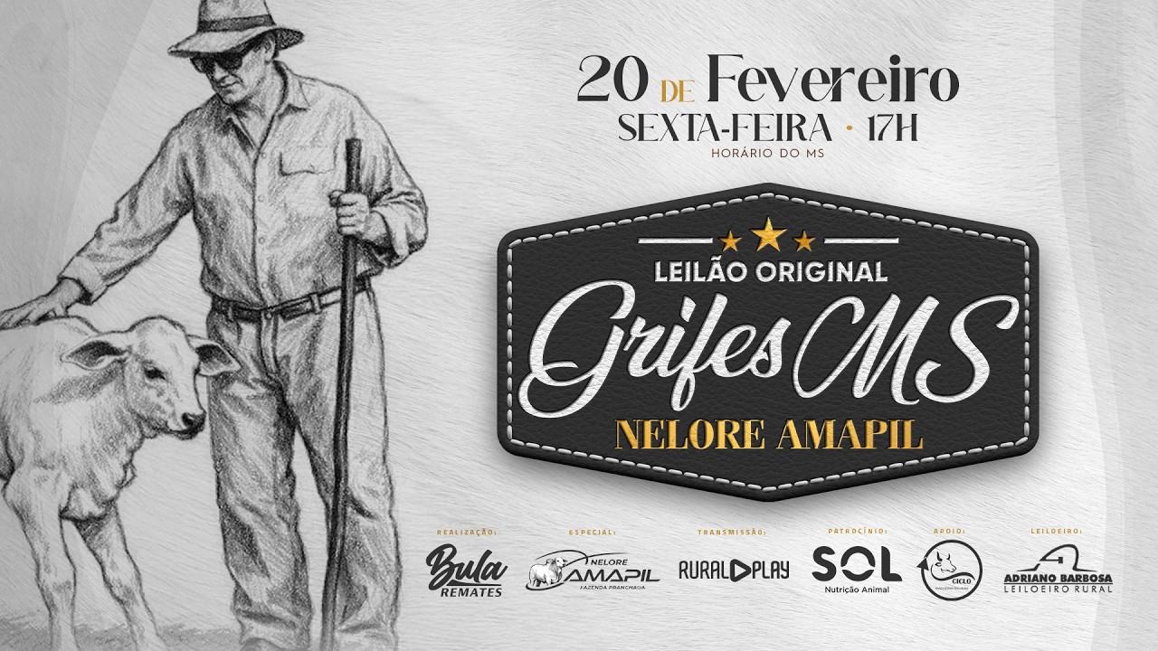 LOTE 06