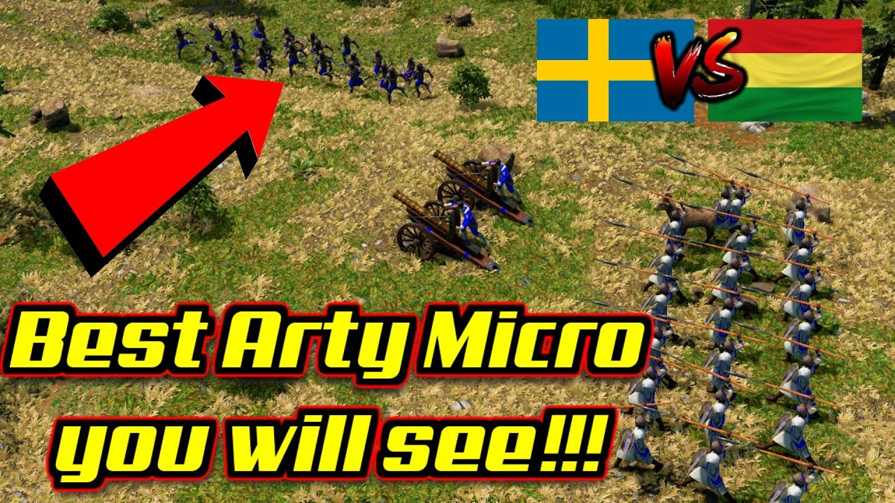 This insane micro decided the game!!!  AOE3