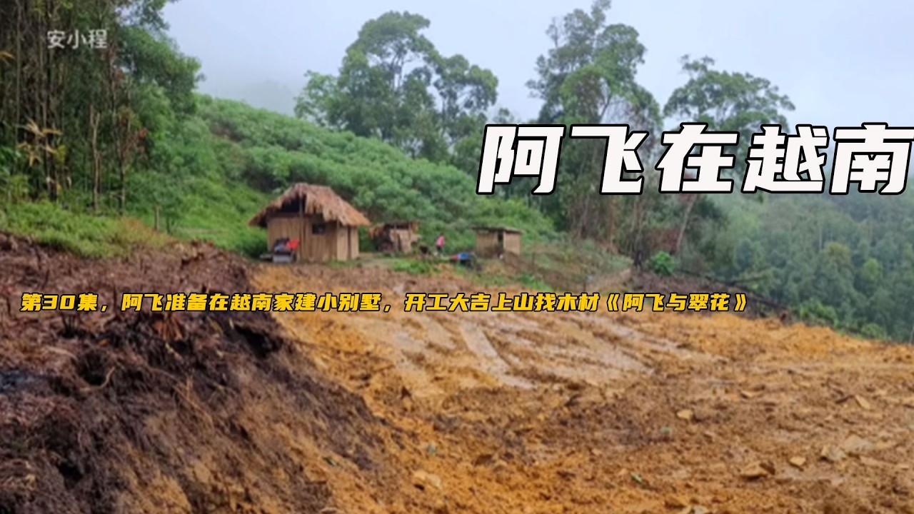 第30集，阿飛準備在越南家建小別墅。開工大吉上山找木材《阿飛與翠花》