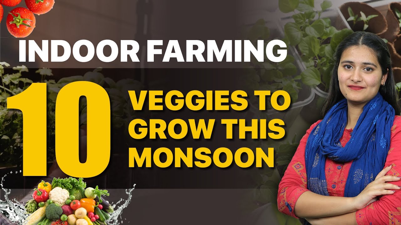 Top Vegetables to Grow during Monsoon Season | Monsoon Veggies | Indoor Farming Tips