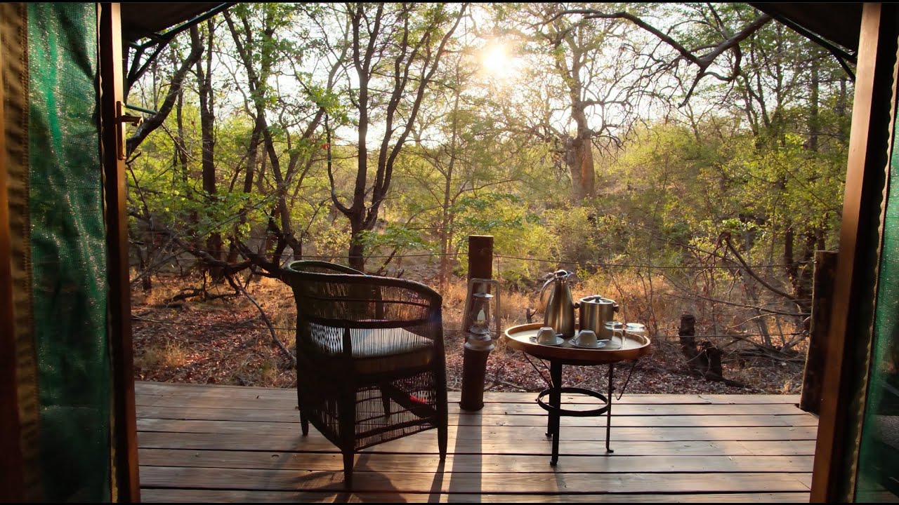 Mashatu Tent Camp | Mashatu Game Reserve