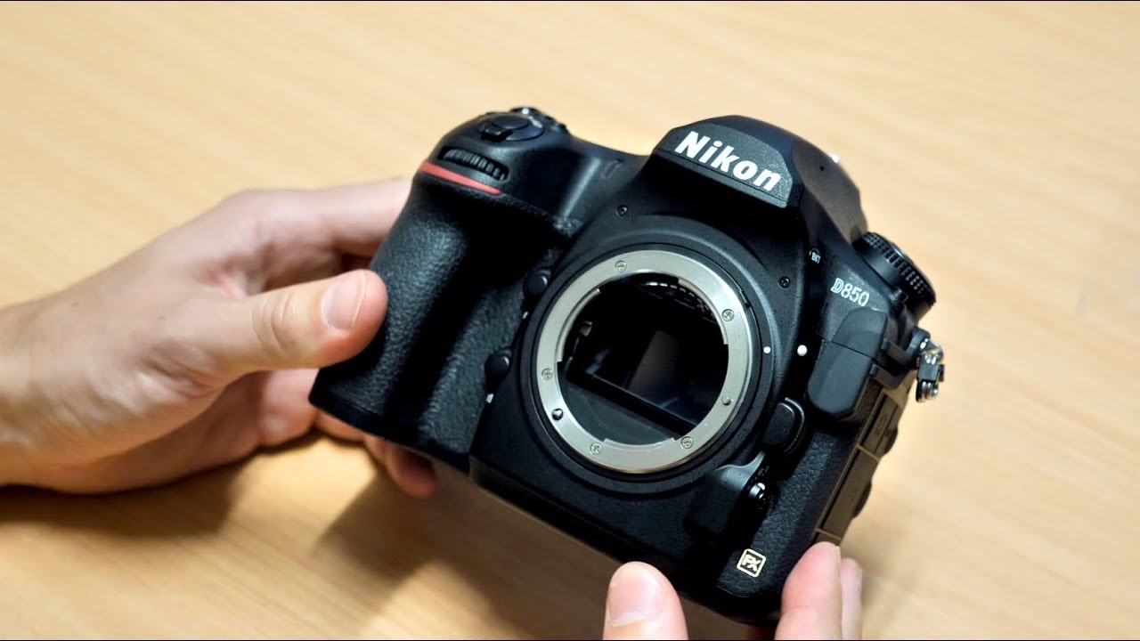 Nikon D850 - Review and Sample Photos