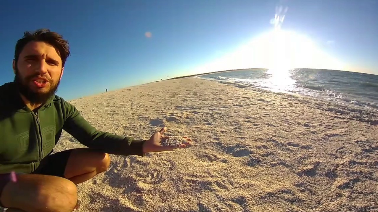 Shell Beach - Western Australia 360 POV